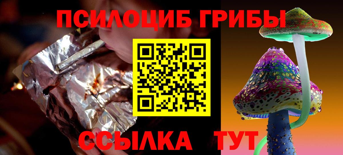 Псилоцибиновые грибы мухоморы Ачхой-Мартан
